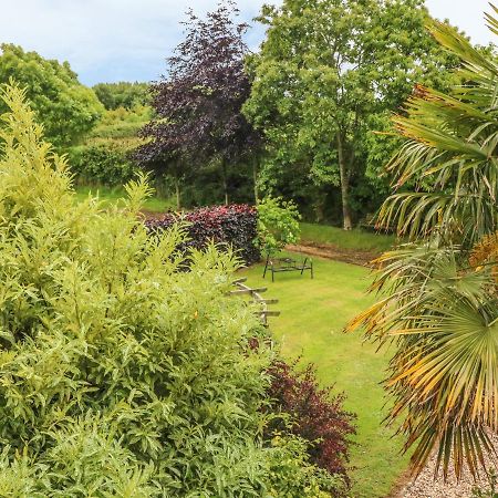 Fig Trees - Wibble Farm Apartamento Williton Exterior foto